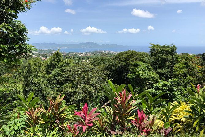 martinique-shore-excursion-unmissable-martinique-north-tour
