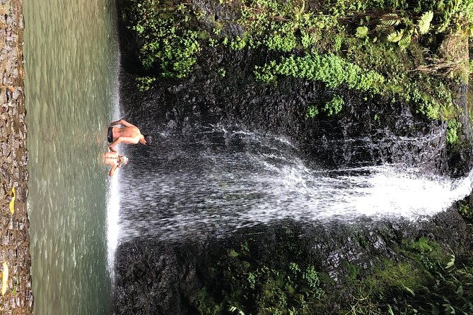 martinique-shore-excursion-unmissable-martinique-north-tour