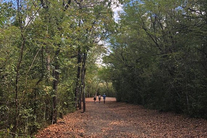 martinique-south-island-private-tour