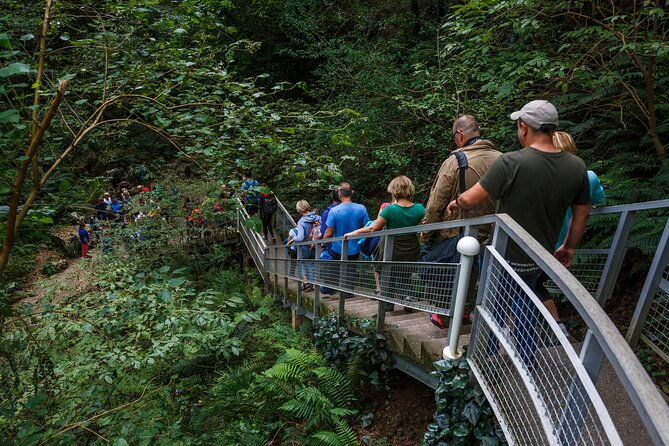 martvili-canyon-prometheus-cave-group-tour-from-tbilisi