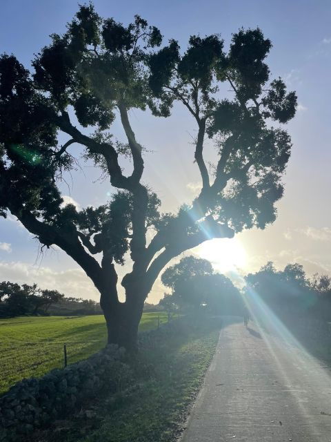 marvao-bike-tours-in-nature