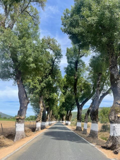 marvao-buggy-quad-tours