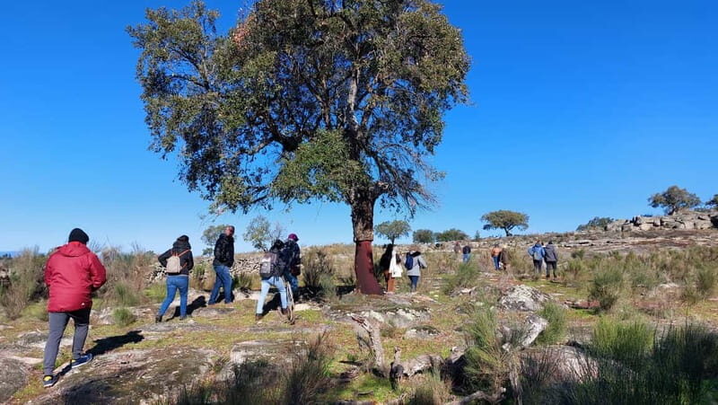 Marvão: Megalithic Monuments Private Tour with Hotel Pickup - An In-Depth Look at the Megalithic Monuments Private Tour