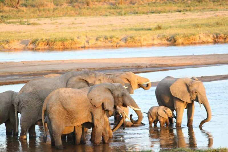 Marvelous 5-day Serengeti National Park to Ngorongoro Crater - Key Points