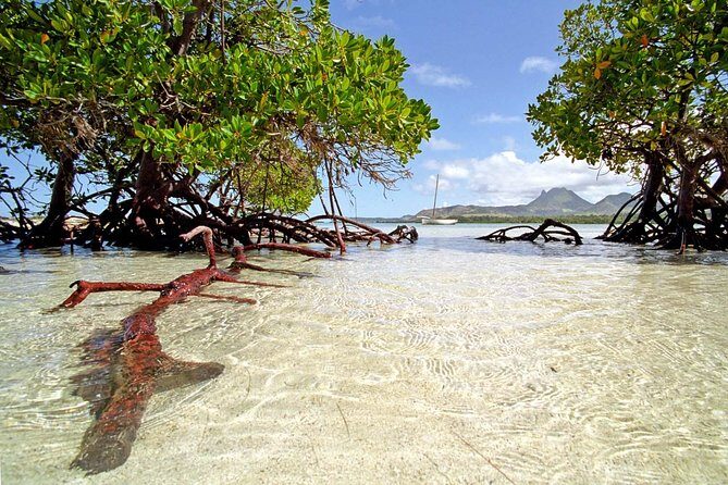 Marvelous Ile aux Cerf island: Speed Boat, Parasailing, Lunch & GRSE waterfall - Key Points