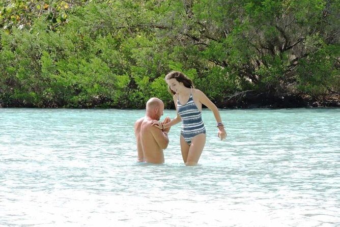 Marvelous Ile aux Cerf island: Speed Boat, Parasailing, Lunch & GRSE waterfall - Final Thoughts