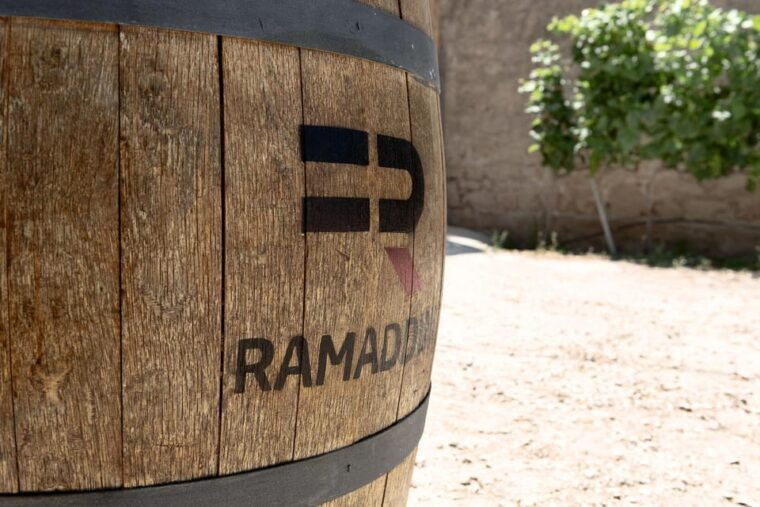 marzamemi-dioniso-wine-tour-tasting-typical-dishes