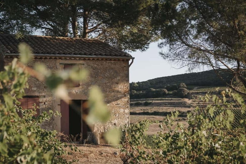 Mas Farchat: Wine tasting and tapas in the heart of nature - Mas Farchat: Wine tasting and tapas in the heart of nature