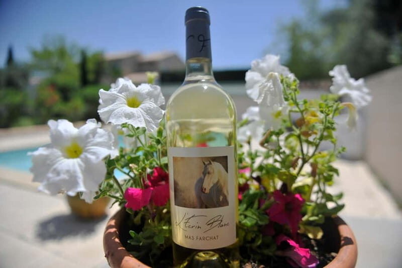 Mas Farchat: Wine tasting and tapas in the heart of nature - Should You Book This Experience?