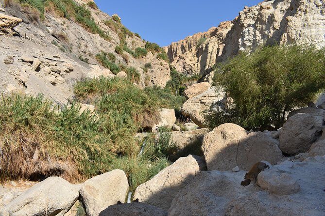 Masada, Ein Gedi, and The Dead Sea from Tel Aviv - The Overall Experience: How it Comes Together