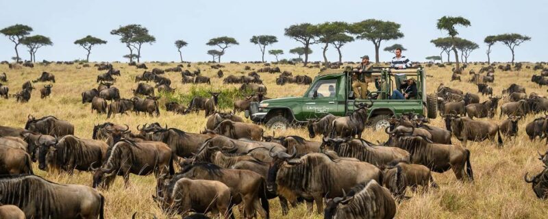 Masai Mara 3-day Camping Safari by 4x4 Land Cruiser Jeep - The Experience of the Guides and Vehicles