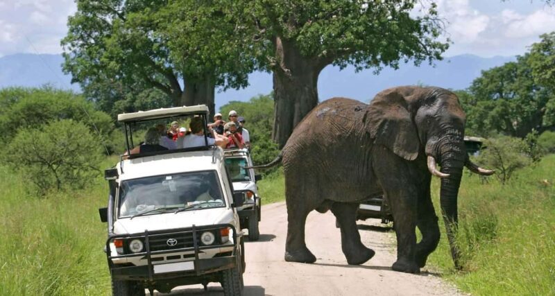 Masai Mara 3-day Camping Safari by 4x4 Land Cruiser Jeep - The Camping Experience: Rustic but Memorable