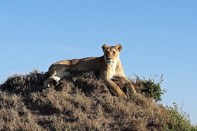 Masai Mara classic safari with optional Masai Village - Frequently Asked Questions
