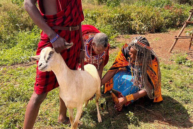 Masai village Cultural afternoon Experience - Is This Tour Right for You?