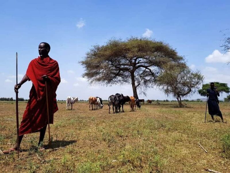 MASAI VILLAGE CULTURAL EXPRIENCE DAY TOUR. - Key Points