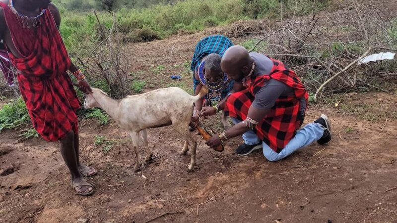 Masai Village Experience (Day trip) - A Closer Look at the Maasai Village Experience