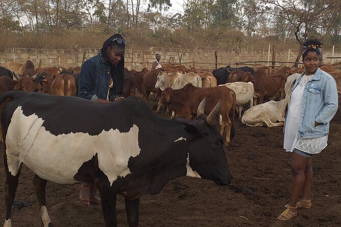 Masai village visit from Nairobi day tour - The Review Spectrum: What Travelers Say