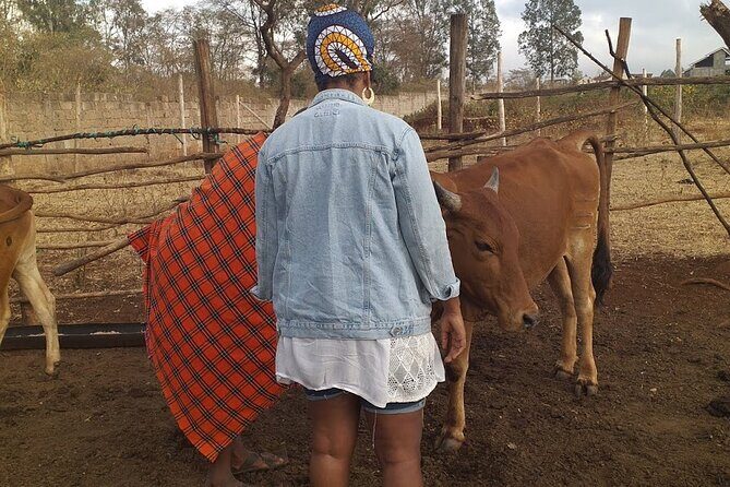 Masai village visit from Nairobi day tour - Who Should Consider This Tour?