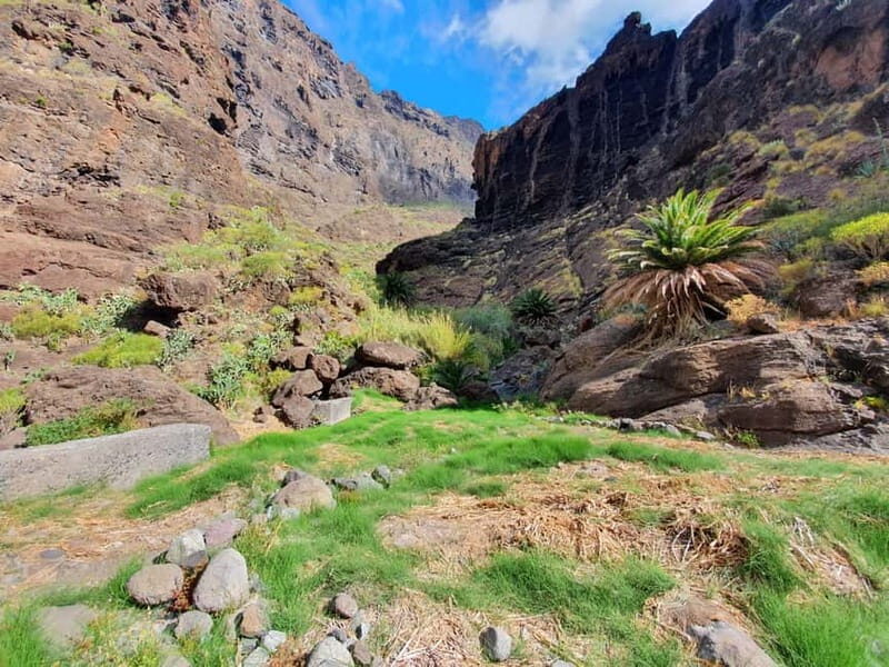 Masca Gorge Guided Hike + Boat Ride + Transport - Detailed Breakdown of the Experience