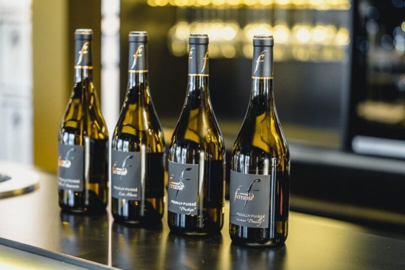 Mason: Visit and Tasting of the Estate's Wines - The Experience of the Guides and Setting