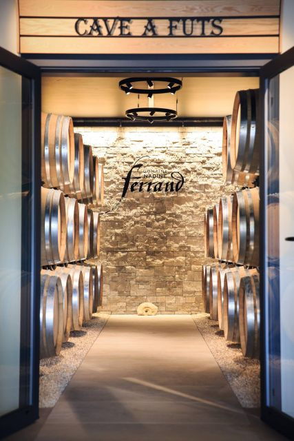 Mason: Visit and Tasting of the Estate's Wines - Final Words