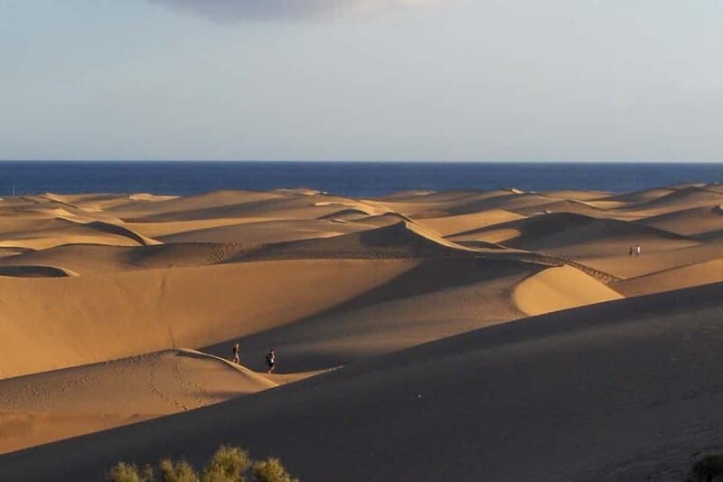 Maspalomas: 1 Hour Segway Sightseeing Tour - Why You’ll Love the Maspalomas Segway Experience