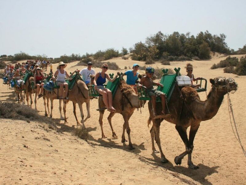 maspalomas-2-seater-e-scooter-dunes-tour-optional-camel