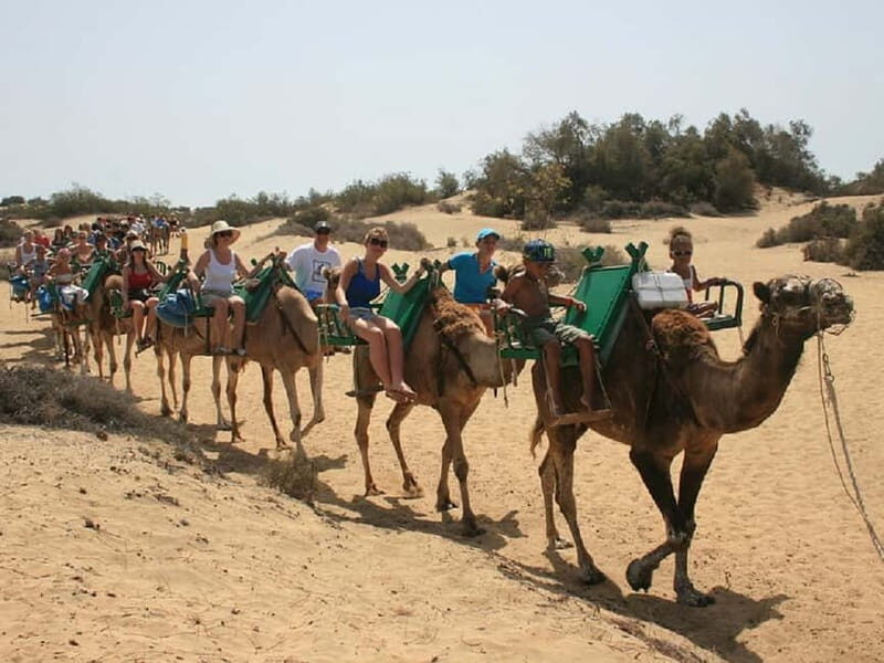 Maspalomas: 2-Seater E-Scooter Dunes Tour with Camel - The Itinerary in Detail