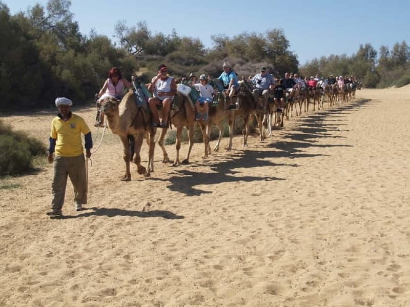 Maspalomas: 2-Seater E-Scooter Dunes Tour with Camel - Who Will Enjoy This Tour?