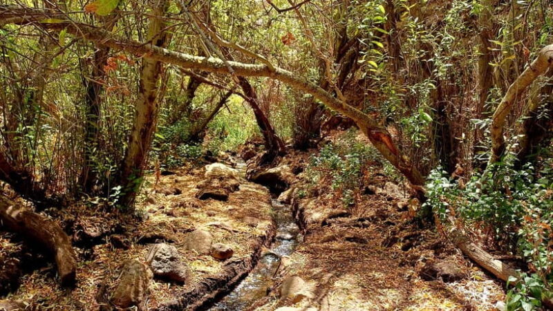 Maspalomas: Hiking in the Waterfalls with Sky Rebels - Price and Value