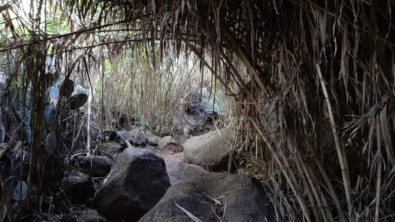 Maspalomas: Hiking in the Waterfalls with Sky Rebels - Final Thoughts