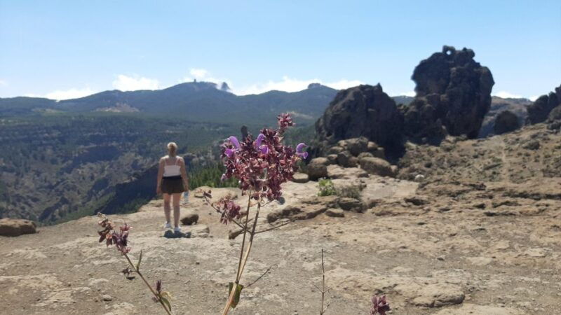 maspalomas-hiking-to-roque-nublo-with-2-authorized-guides