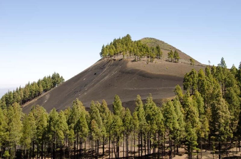 Maspalomas & Las Palmas: Artenara, Tamadaba & cider tasting - Key Points