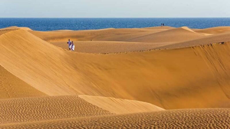 maspalomas-southern-coast-e-bike-tour-option-tapas-tasting