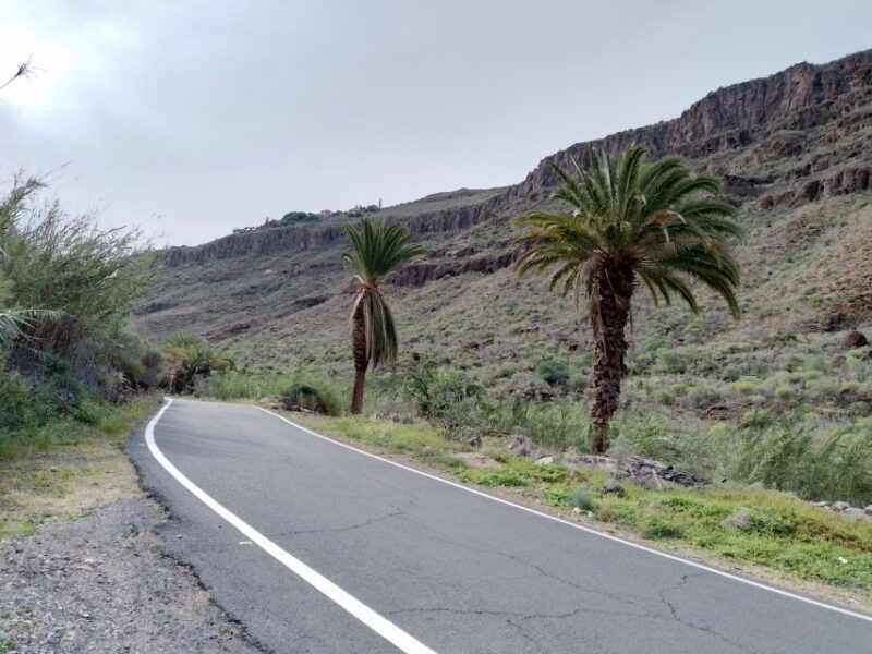 maspalomas-southern-coast-e-bike-tour-option-tapas-tasting
