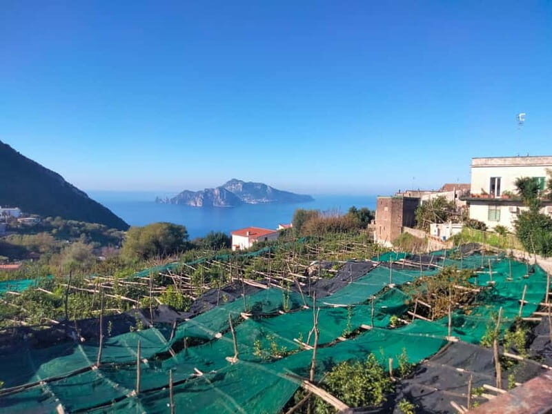 Massa Lubrense: Two Coasts Tour with a Private Driver - Key Points