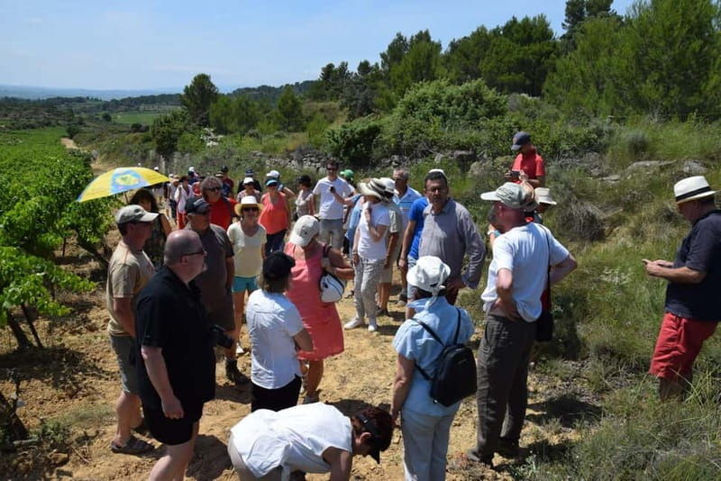 Massmamier La Mignarde : Wine Tasting - Practical Details: Timing, Booking, and Accessibility