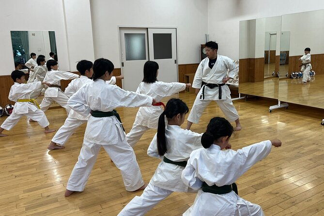 master-the-art-of-karate-dynamics