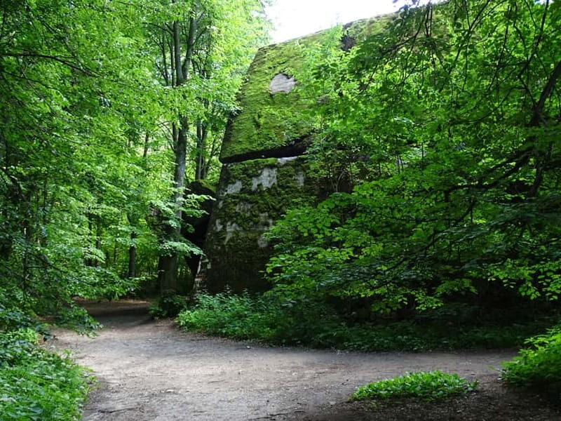 Masurian Lake District: The Wolfs Lair and Yacht Tour - Practicalities & Overall Value