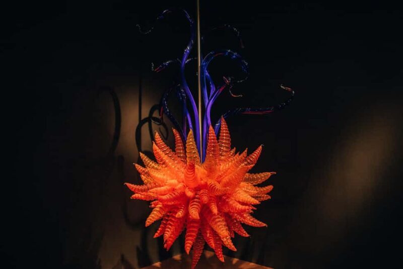 Matakana Art & Wine Village Private Tour - Why Choose the Matakana Art & Wine Village Private Tour?