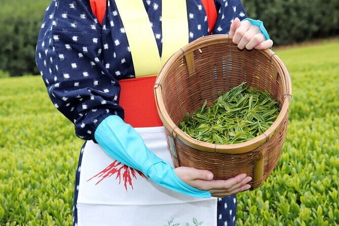 Matcha, Confections, and Traditions in Nishio From Nagoya - Exploring the Itinerary: A Step-by-Step Breakdown