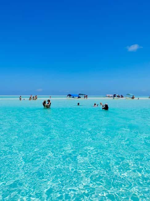 Matemwe: Mnemba Island Dolphin & Snorkeling Boat Trip - Introduction