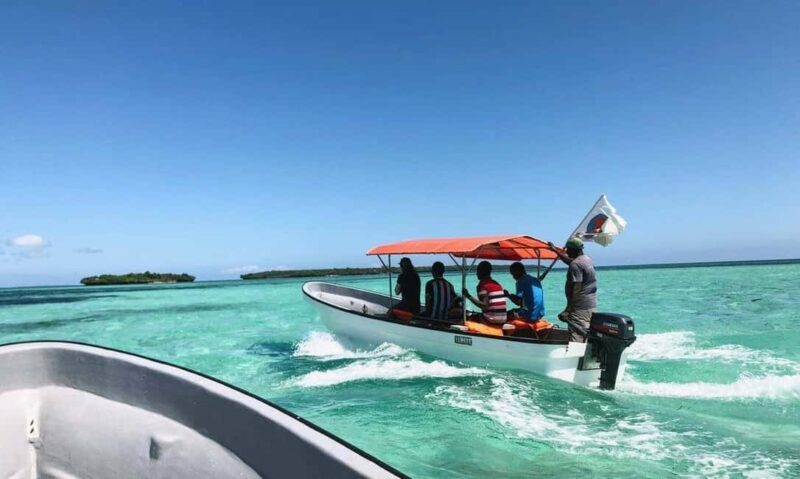Matemwe village: Half day Snorkeling trip at Mnemba Island - Authentic Reviews and Insights