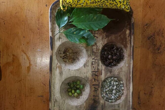 Materuni (Coffee Tour) and Chemka (Kikuletwa Tour) - Who Should Consider This Tour?