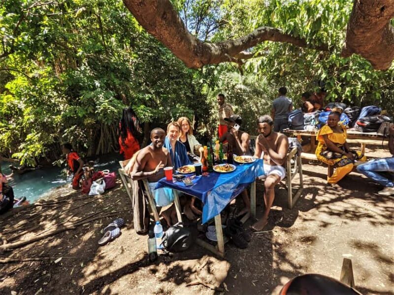 Materuni Falls, Coffee Tour & Chemka Hot Springs: Day Trip - Final Thoughts