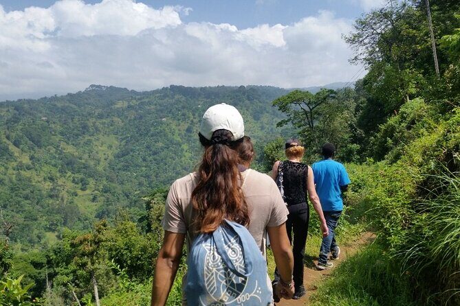Materuni Thundering Waterfalls,Coffee Experience with Moshi Town Tour - Authentic Tanzanian Adventure: Materuni Waterfalls, Coffee, and Moshi Town Tour