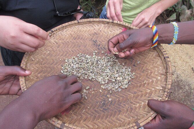 Materuni Thundering Waterfalls,Coffee Experience with Moshi Town Tour - Exploring the Itinerary in Detail