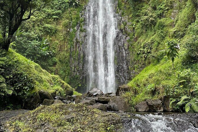 Materuni Waterfall and Coffee Plantation Half Day Tour - Detailed Look at the Itinerary