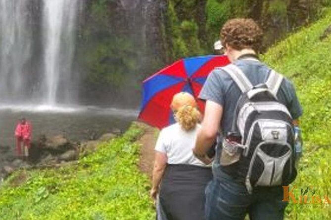 Materuni waterfall and Coffee tour - The Experience in Detail: What Makes It Special