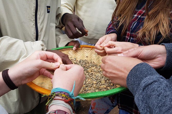 Materuni Waterfall and Coffee tour, Tanzania - Exploring the Materuni Waterfall and Coffee Tour in Detail